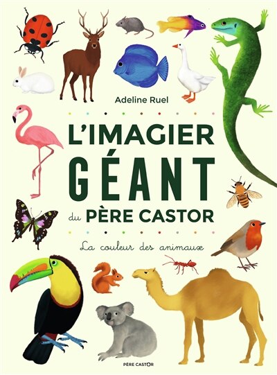 Front cover_L'imagier géant du Père Castor : la couleur des animaux