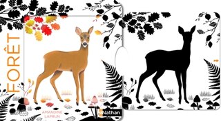Front cover_Forêt