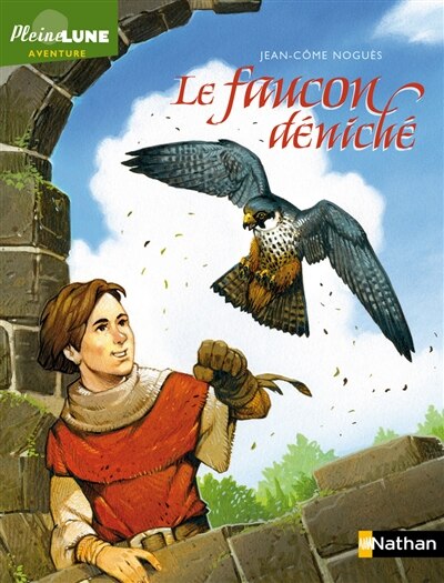 Front cover_Le faucon déniché