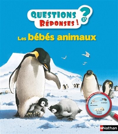 Couverture_Les bébés animaux
