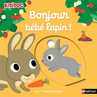 Front cover_Bonjour bébé lapin !