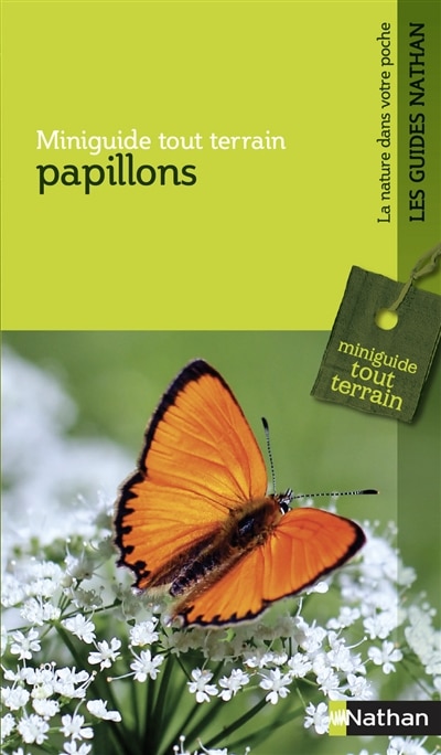 Front cover_Papillons