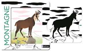 Front cover_Montagne