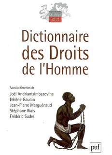 Couverture_Dictionnaire des droits de l'homme