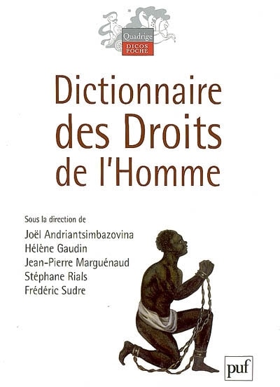 Couverture_Dictionnaire des droits de l'homme