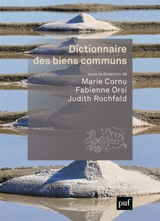 Couverture_Dictionnaire des biens communs