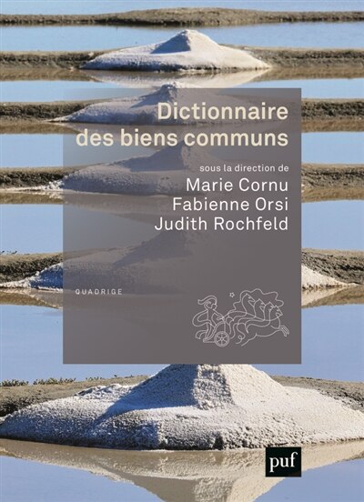 Couverture_Dictionnaire des biens communs