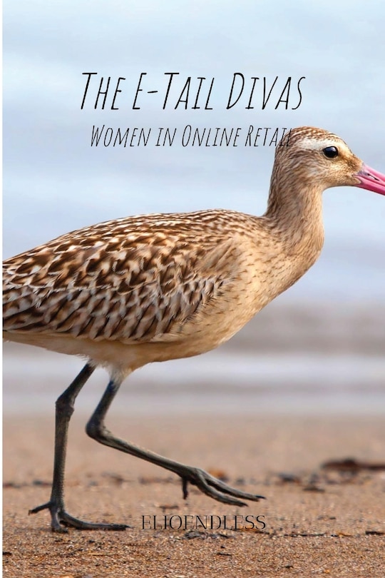 Couverture_The E-Tail Divas