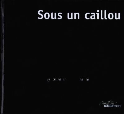 Front cover_Sous un caillou