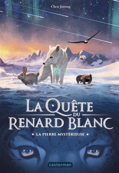 Front cover_La pierre mystérieuse