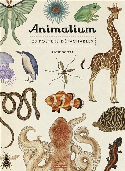 Couverture_Animalium