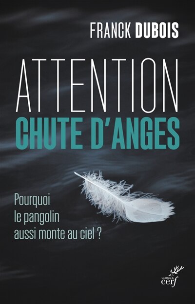 Couverture_Attention chute d'anges