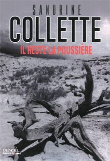Couverture_Il reste la poussi&egrave;re
