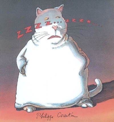 Zzzz... zzzz...: d'après une histoire vraie