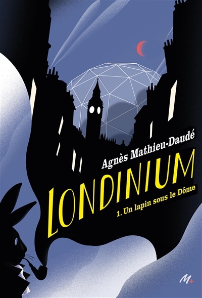 Couverture_Un lapin sous le Dôme