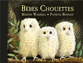 Front cover_Bébés chouettes