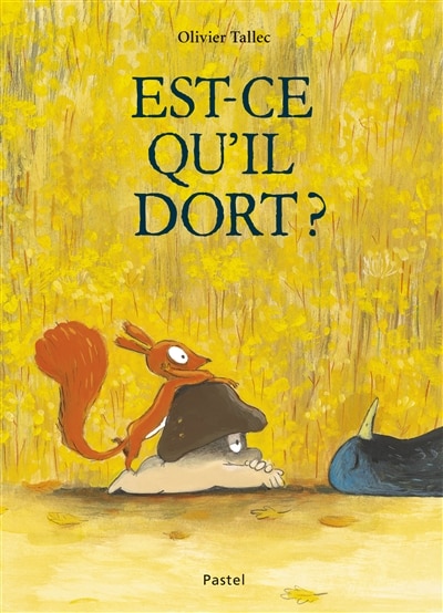 Front cover_Est-ce qu'il dort ?