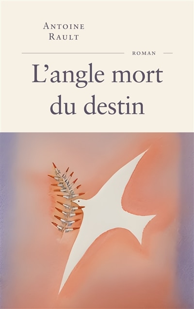 Front cover_L' angle mort du destin