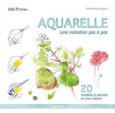Front cover_Aquarelle : une initiation pas à pas : 20 modèles à peindre en une séance