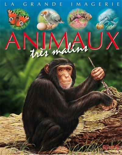 Front cover_Animaux très malins