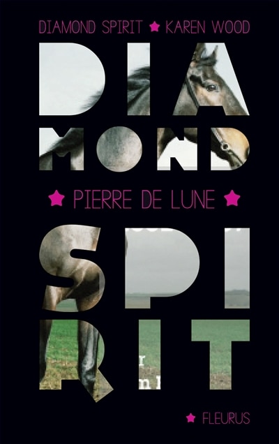 Couverture_L' esprit du cheval sauvage