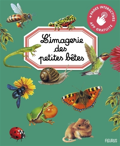 Front cover_L' imagerie des petites bêtes