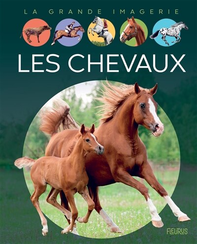 Front cover_Les chevaux