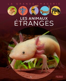 Front cover_Les animaux étranges