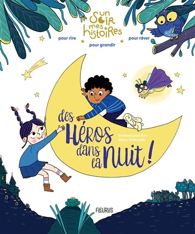 Couverture_Des héros dans la nuit !