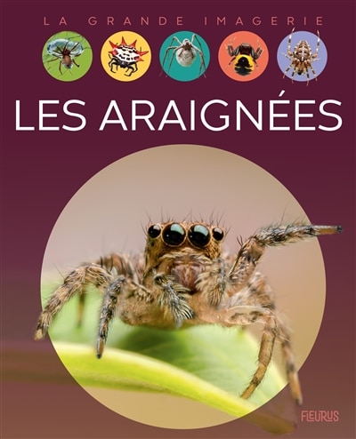 Couverture_Les araignées
