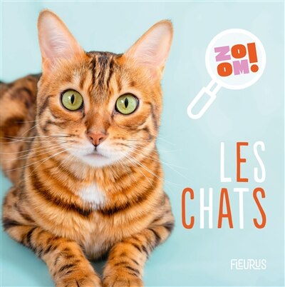 Front cover_Les chats