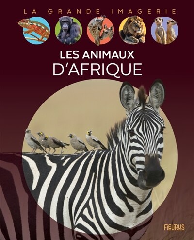 Front cover_LES Animaux d'Afrique