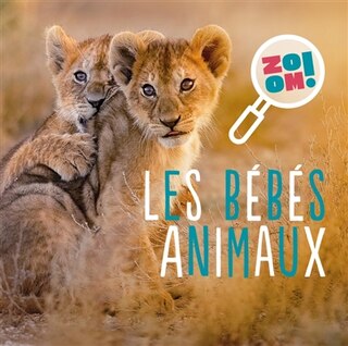 Front cover_Les bébés animaux