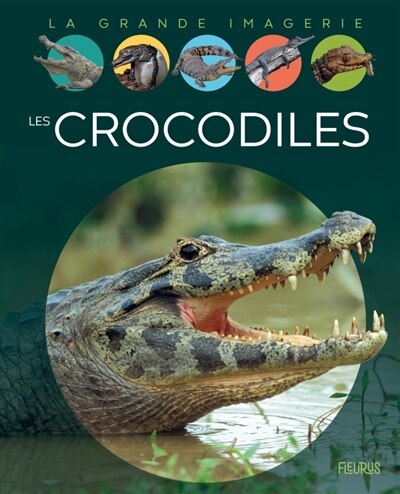 Couverture_Les crocodiles