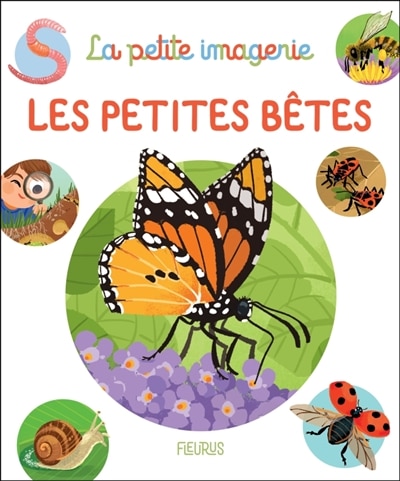 Couverture_Les petites bêtes