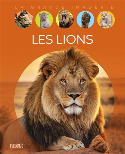 Couverture_Les lions La grande imagerie