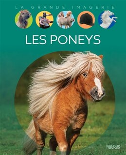 Couverture_Les poneys