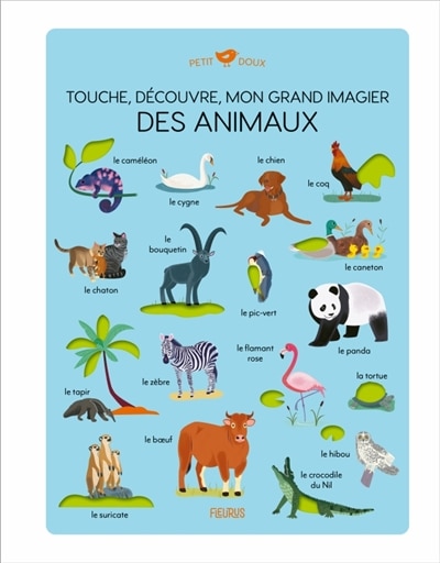 Front cover_Touche, d&eacute;couvre, mon grand imagier des animaux