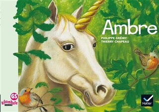Front cover_Ambre
