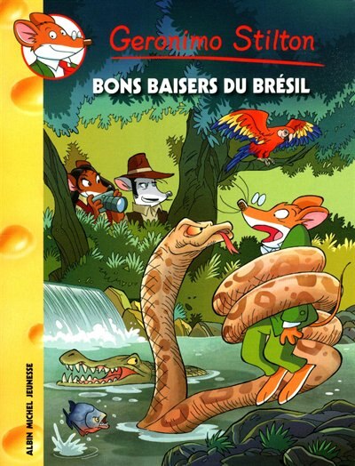 Couverture_Bons baisers du Brésil