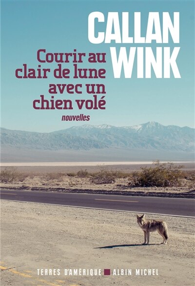 Couverture_Courir au clair de lune avec un chien volé