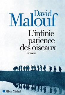 Front cover_Infinie patience des oiseaux