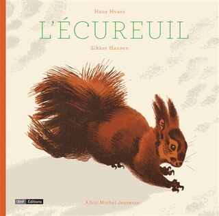 ECUREUIL -L'