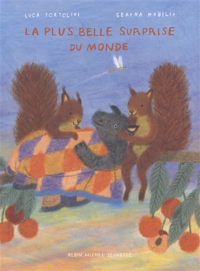 Front cover_La plus belle surprise du monde