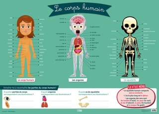 Couverture_Le corps humain