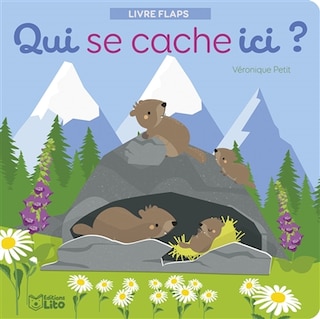 Couverture_Qui se cache ici ?