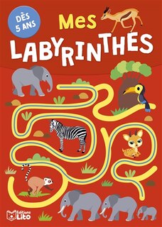 Couverture_Mes labyrinthes