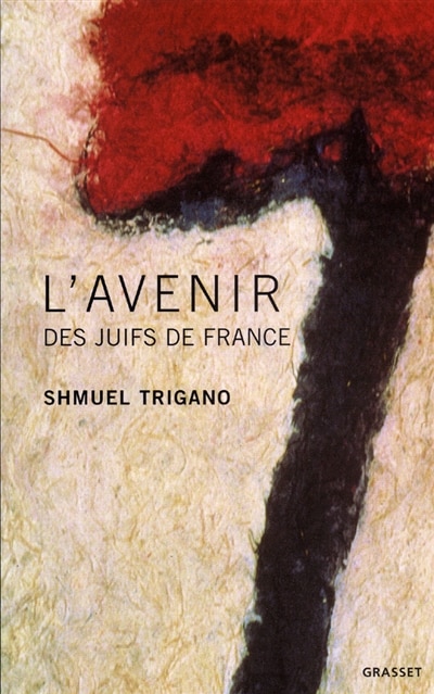 Front cover_L' avenir des juifs de France