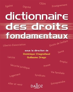 Couverture_Dictionnaire des droits fondamentaux