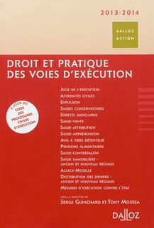 Couverture_Droit et pratique des voies d'exécution : 2013-2014